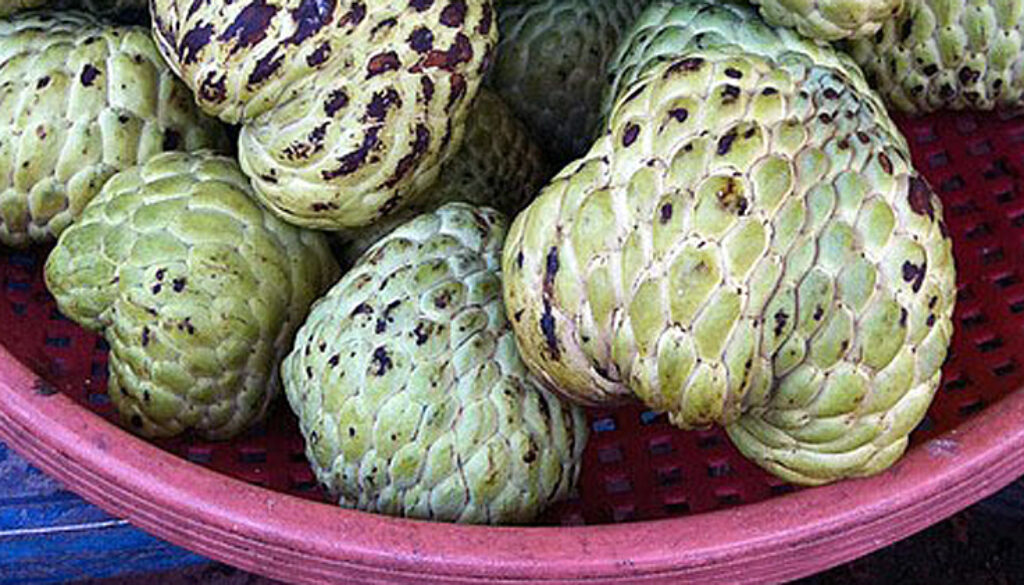 fruits