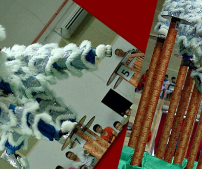 LionDance