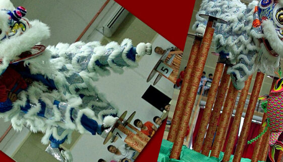 LionDance
