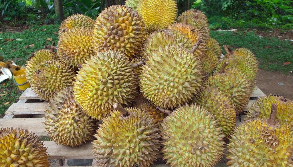PenangDurianFestival